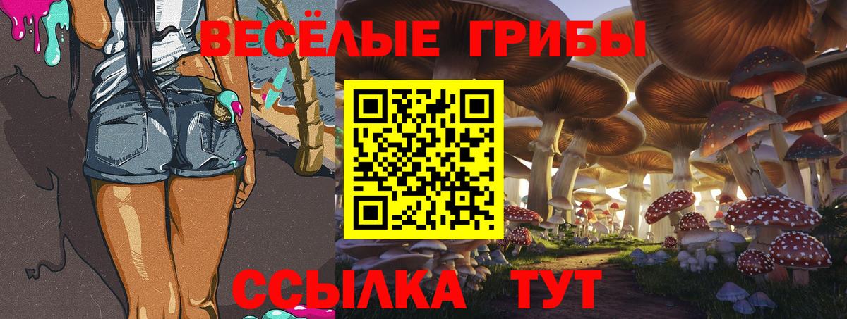 Галлюциногенные грибы Magic Shrooms Домодедово