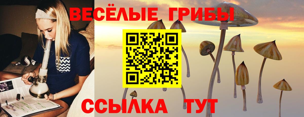 Домодедово  Галлюциногенные грибы GOLDEN TEACHER  Вход с VPN 